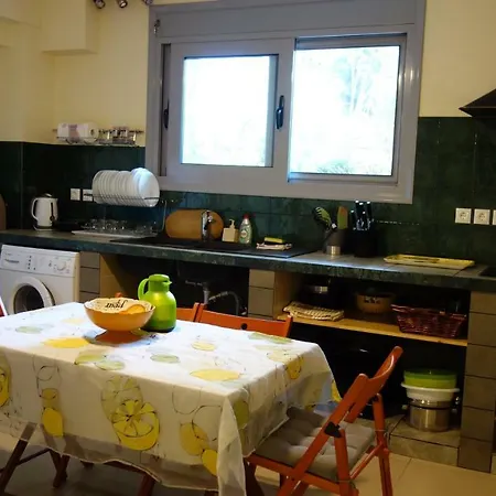 فيلة Viva La Vida بحيرة فولياغميني